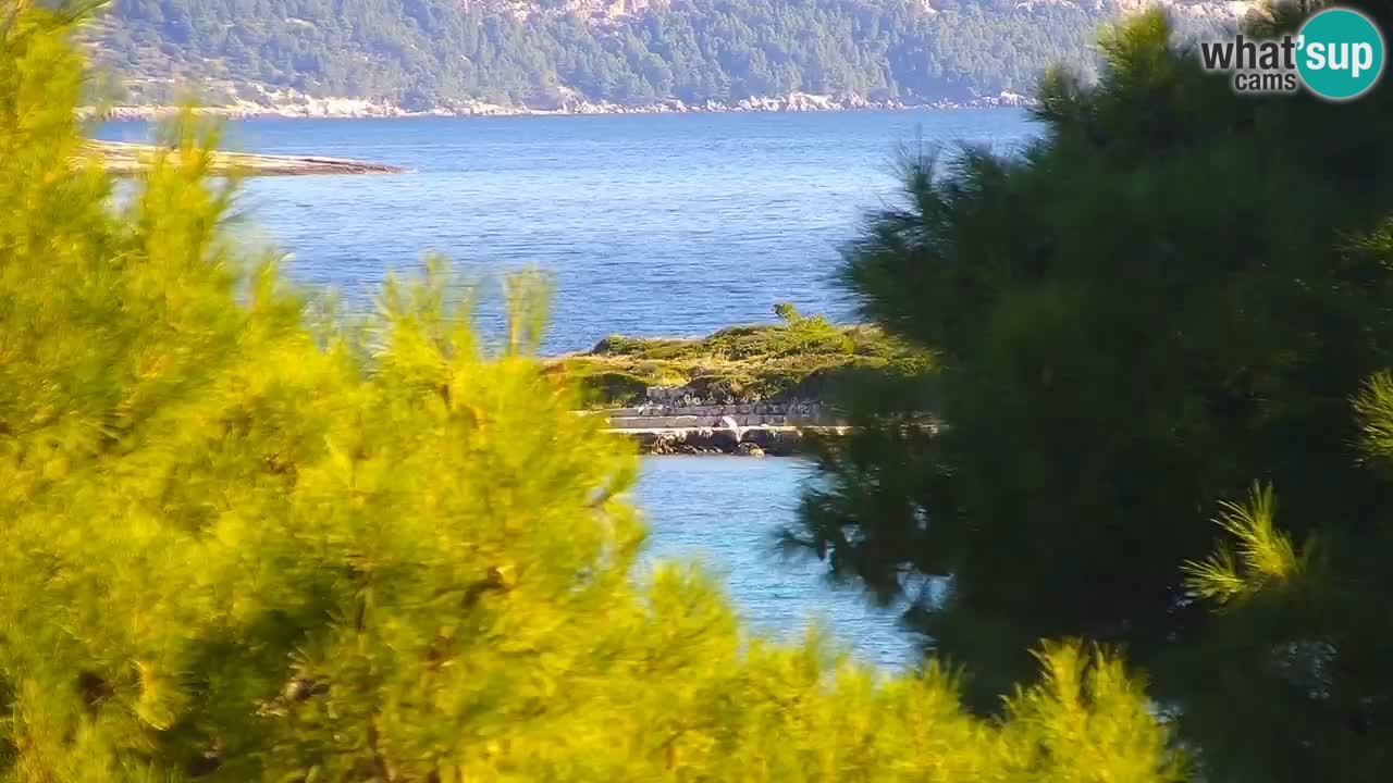 Lumbarda resort Web Kamera Korčula