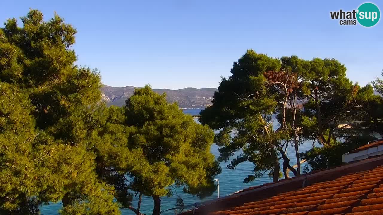 Lumbarda Resort camera en vivo Korčula