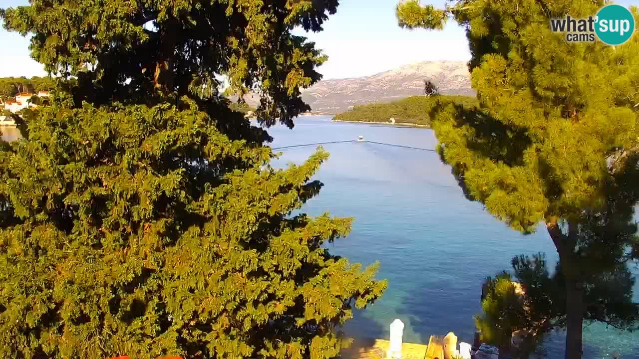 Lumbarda Resort camera en vivo Korčula