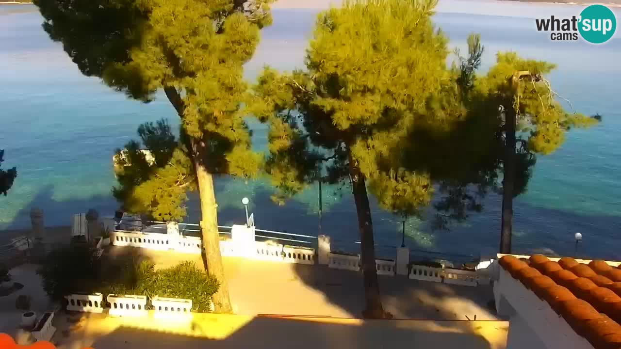 Lumbarda resort – livecam Korčula