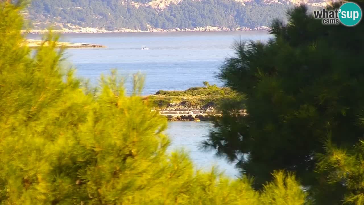 Lumbarda Resort webcam Kurzel