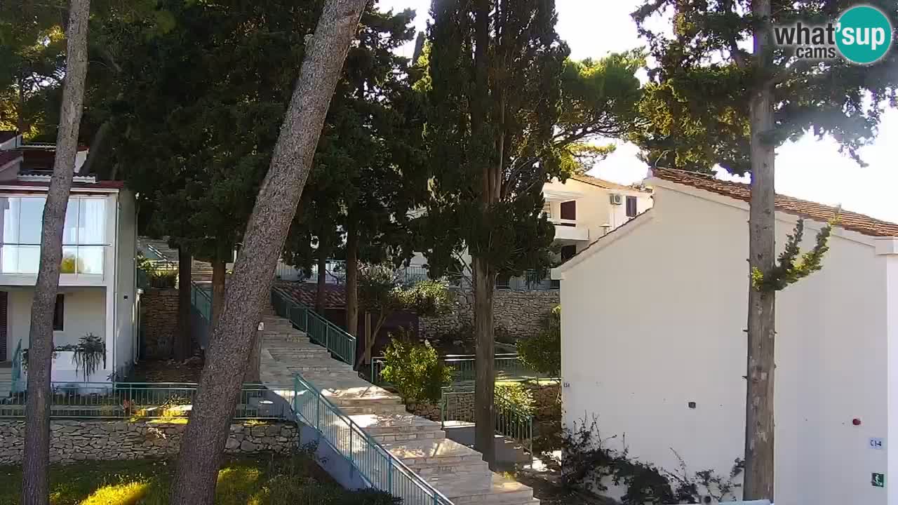 Lumbarda resort – livecam Korčula
