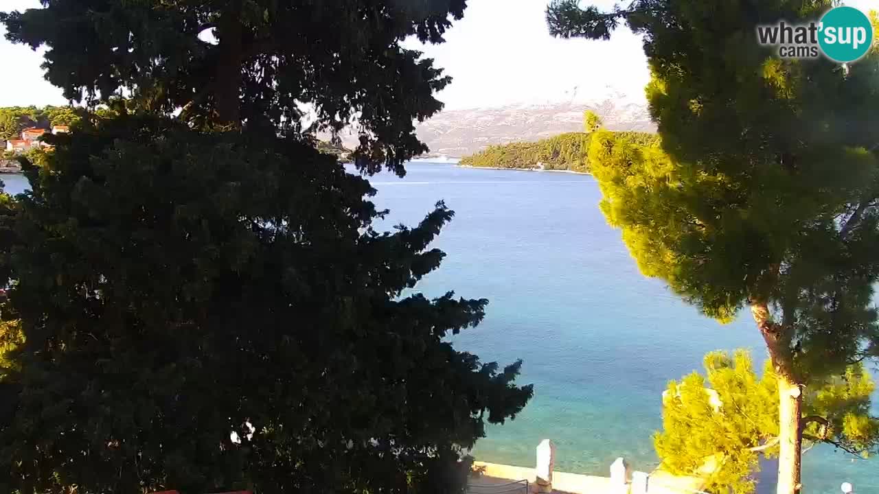Lumbarda resort Spletna kamera Korčula