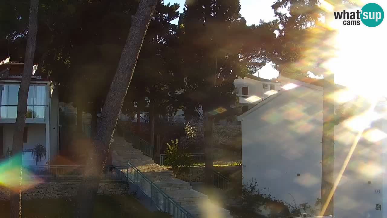 Lumbarda resort Webcam Korčula