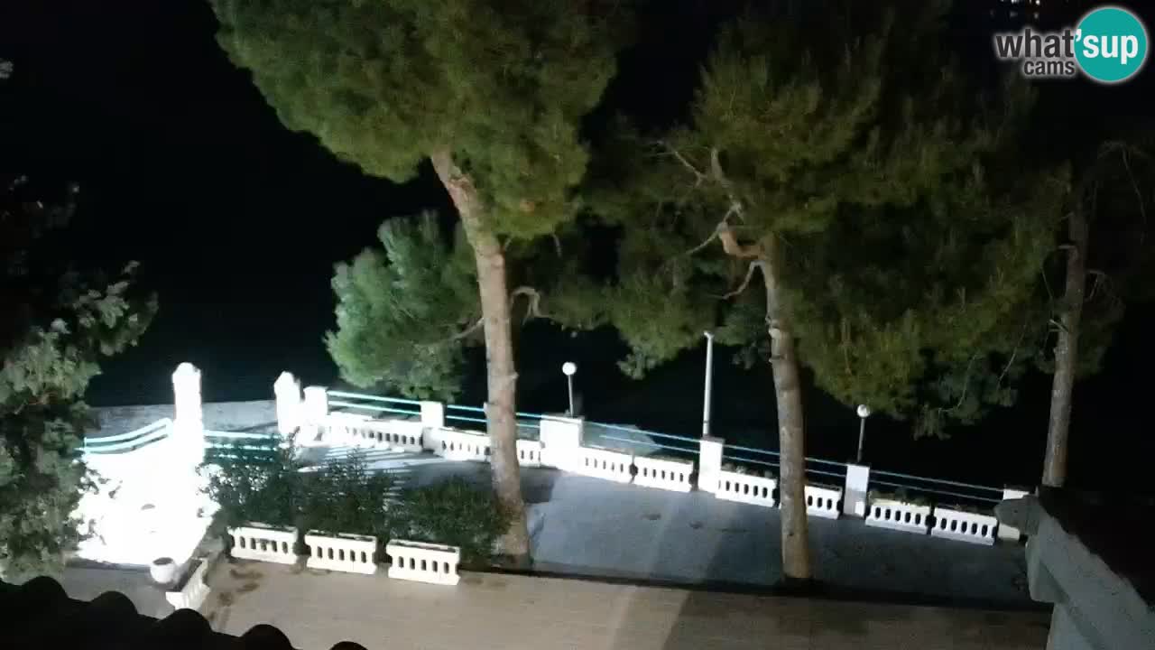 Lumbarda resort – livecam Korčula
