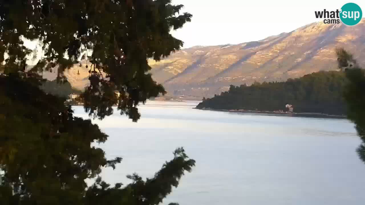 Lumbarda Resort camera en vivo Korčula