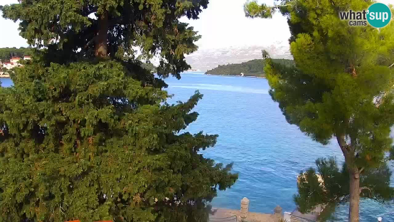 Lumbarda resort Spletna kamera Korčula