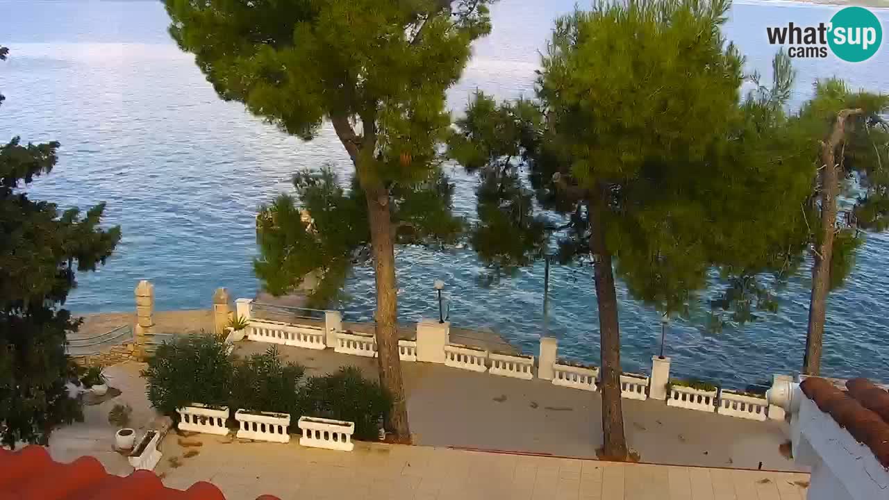 Lumbarda resort – livecam Korčula