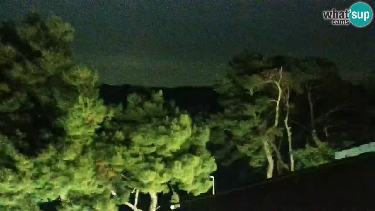 Lumbarda resort Web Kamera Korčula