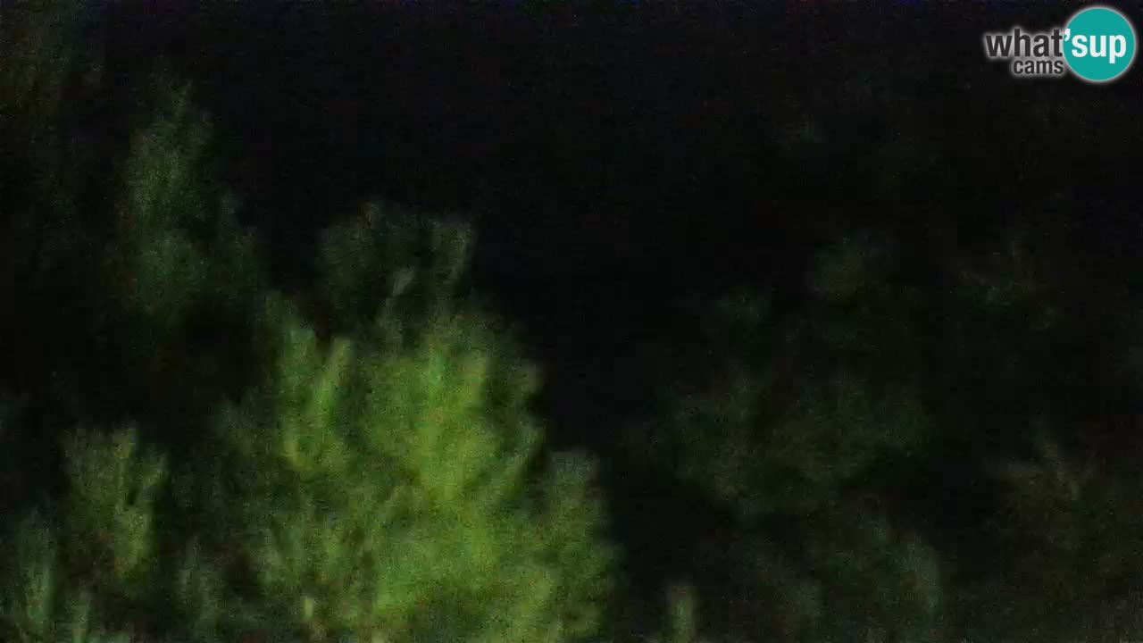 Lumbarda Resort live cam Curzola