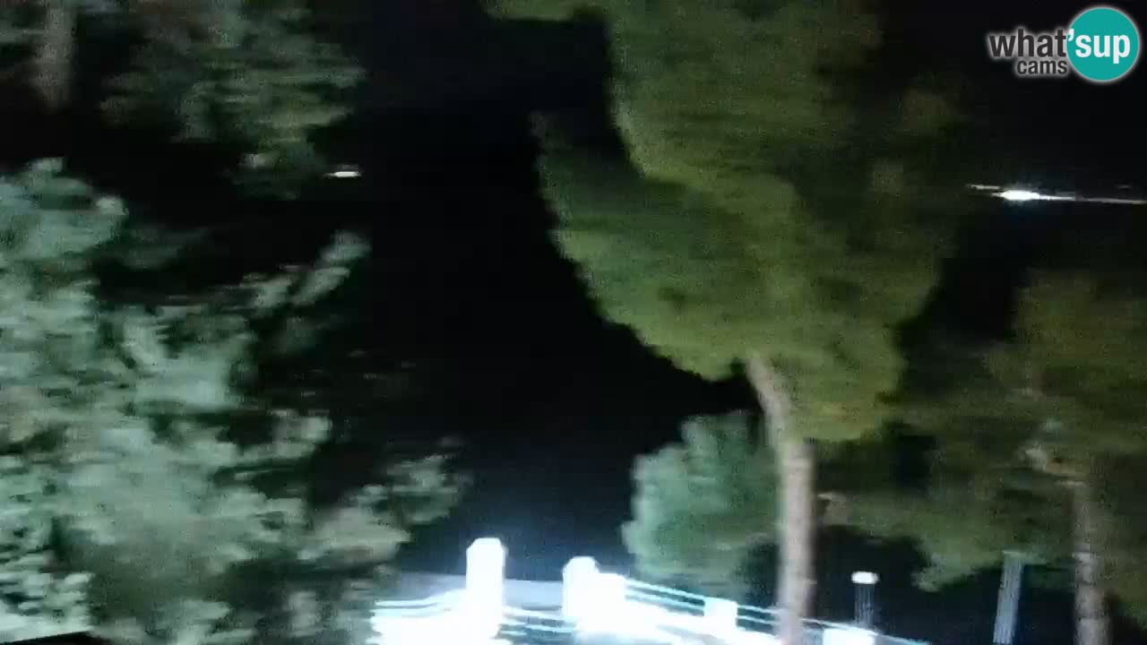 Lumbarda resort Spletna kamera Korčula