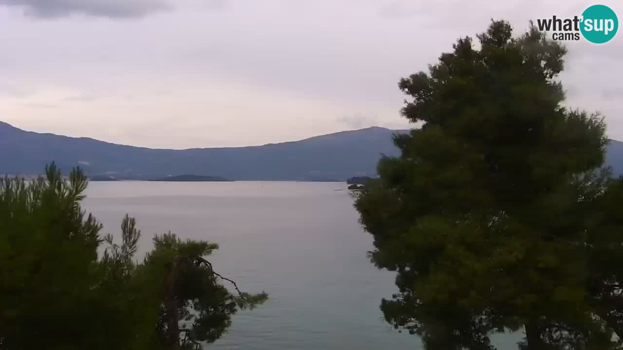 Lumbarda Resort camera en vivo Korčula