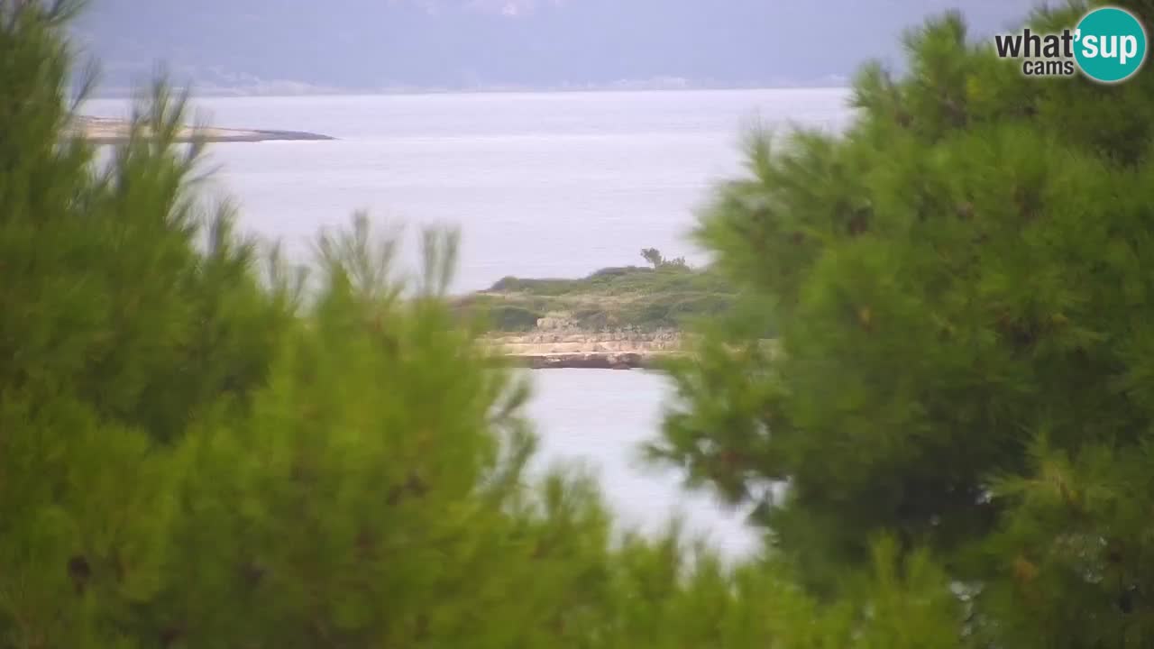 Lumbarda Resort webcam Kurzel