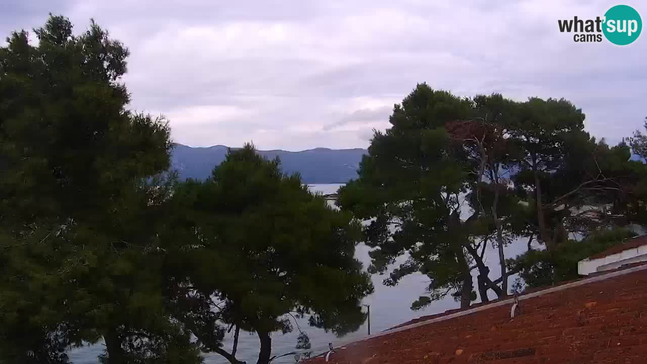 Lumbarda resort Web Kamera Korčula