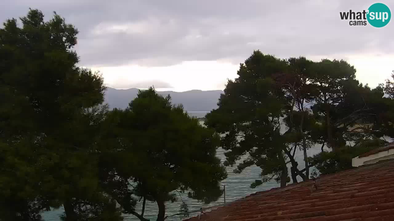 Lumbarda resort Spletna kamera Korčula