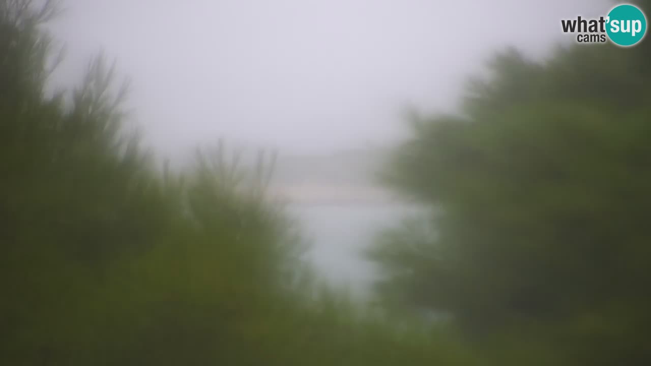 Lumbarda resort Spletna kamera Korčula