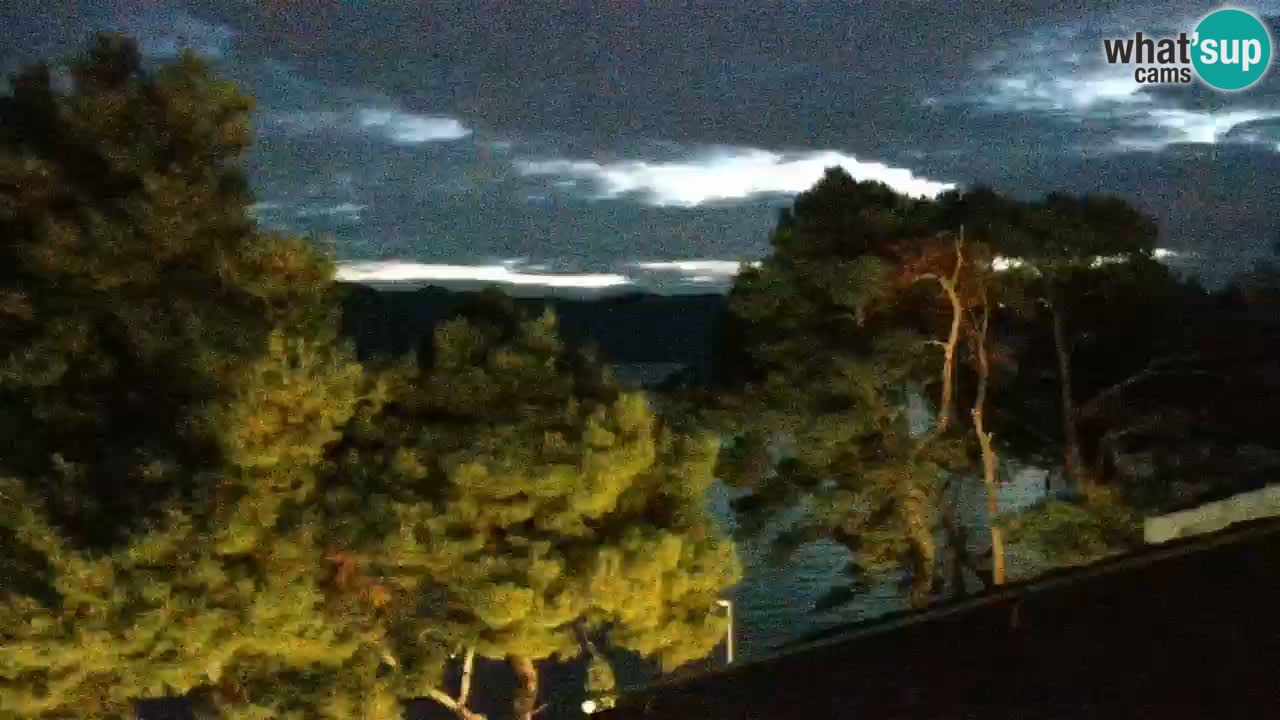 Lumbarda resort Spletna kamera Korčula