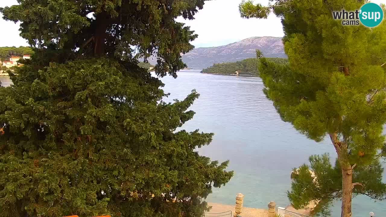Lumbarda Resort camera en vivo Korčula