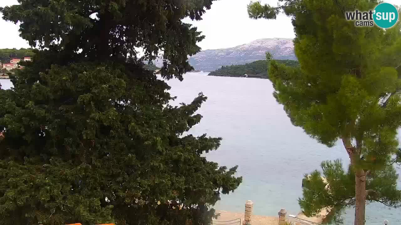 Lumbarda resort Webcam Korčula