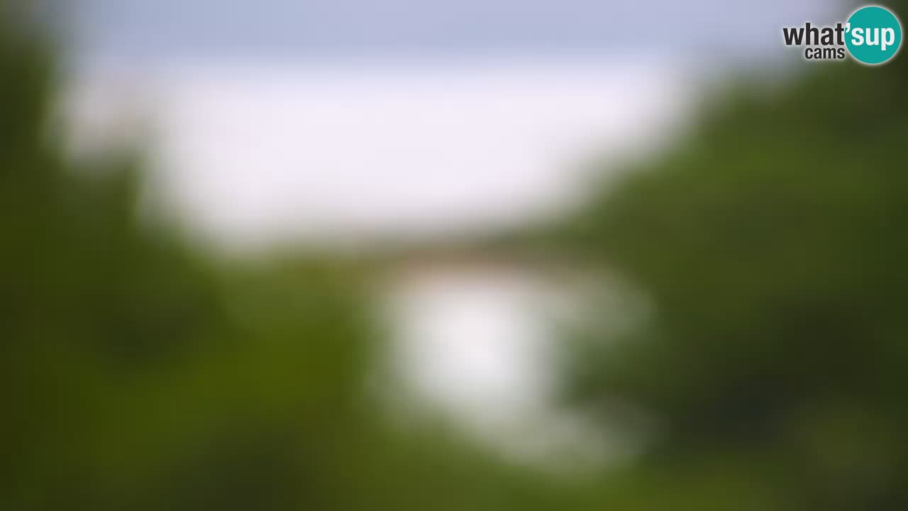 Lumbarda Resort camera en vivo Korčula