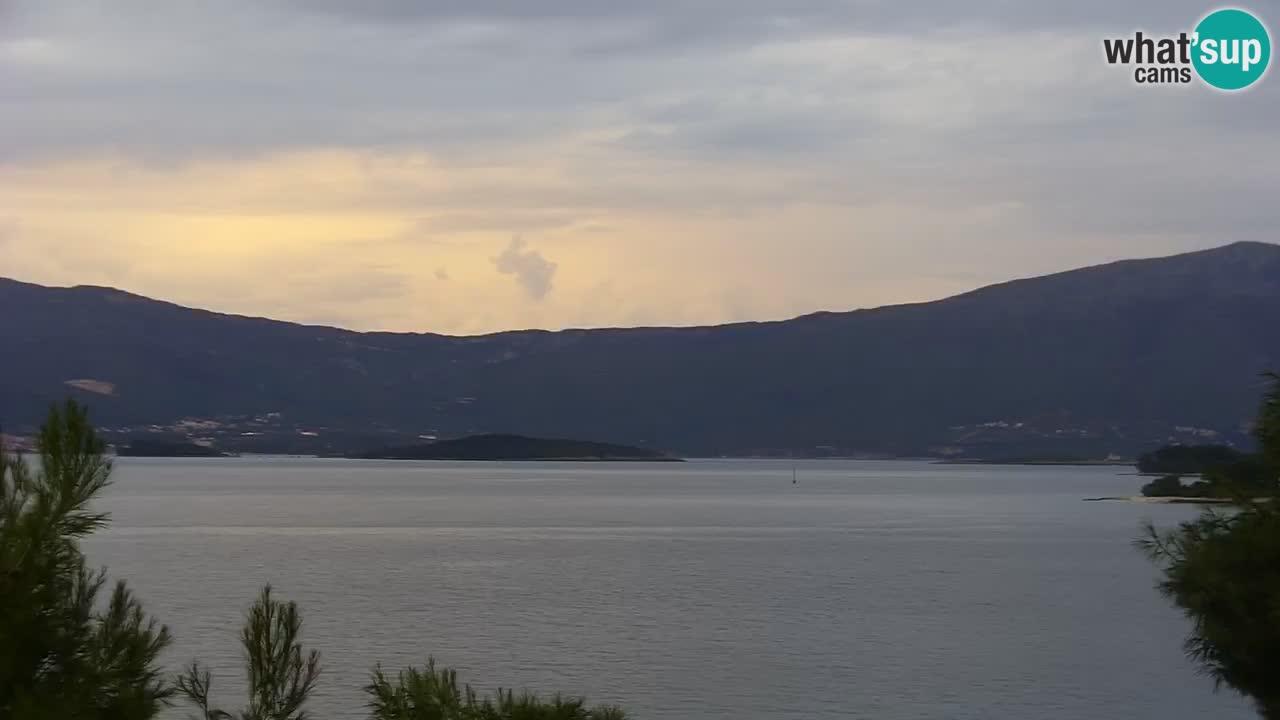 Lumbarda resort Spletna kamera Korčula