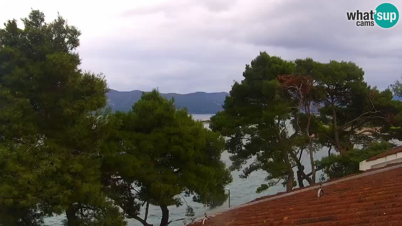 Lumbarda Resort live cam Curzola