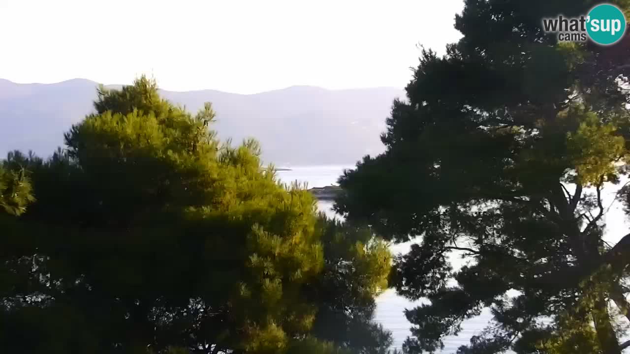 Lumbarda resort Webcam Korčula