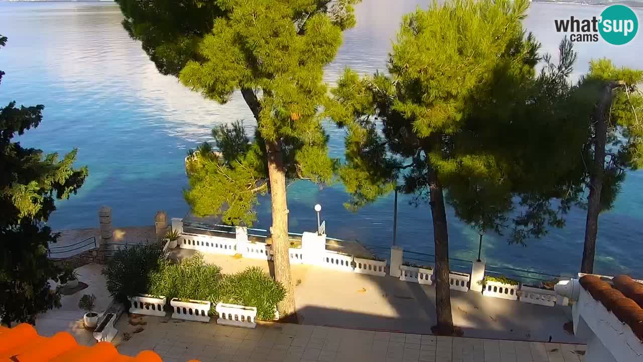 Lumbarda resort Spletna kamera Korčula