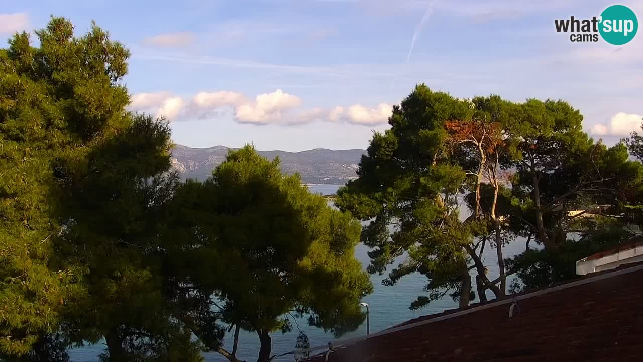 Lumbarda resort Spletna kamera Korčula