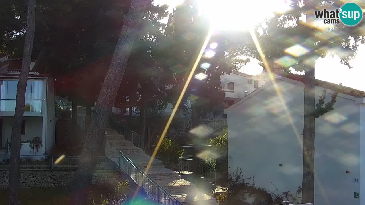 Lumbarda resort – livecam Korčula