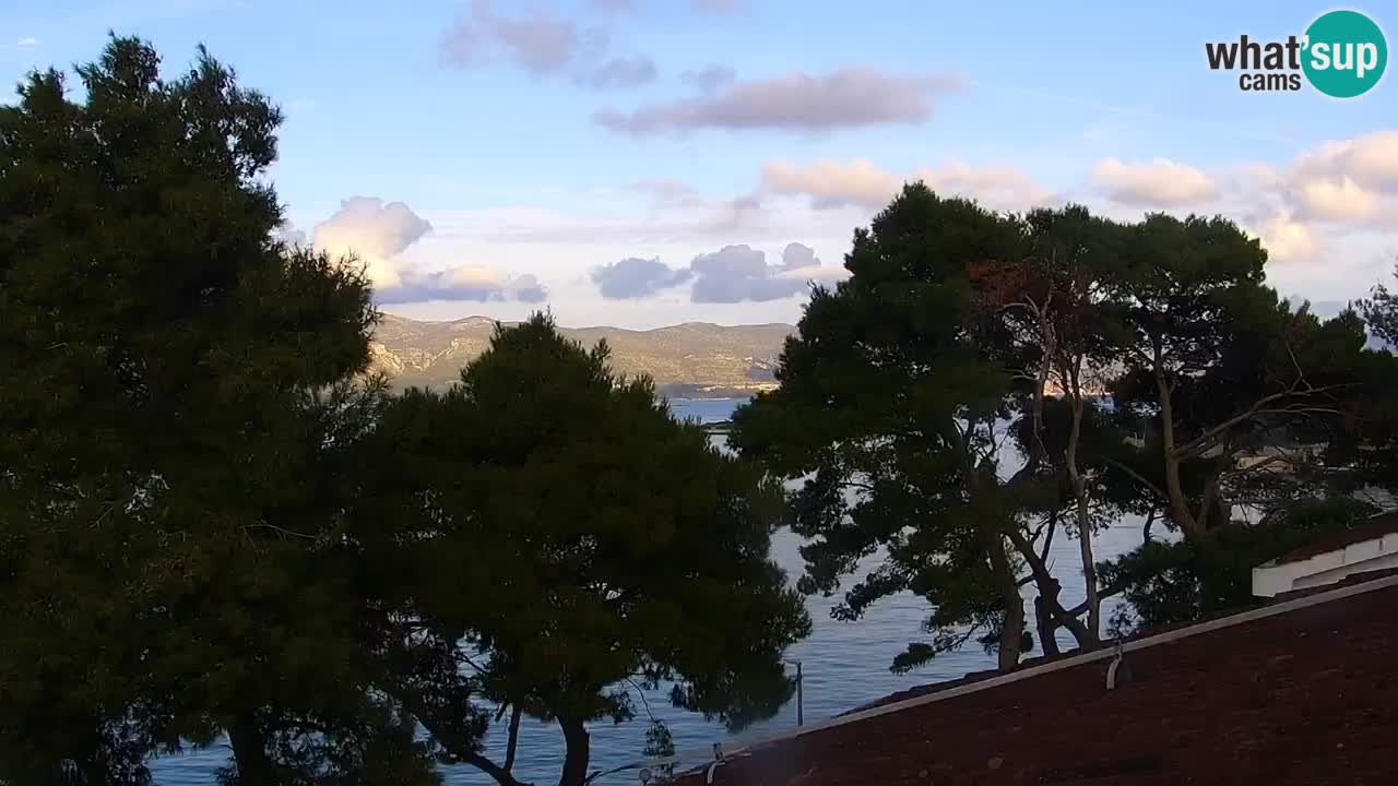 Lumbarda resort Spletna kamera Korčula