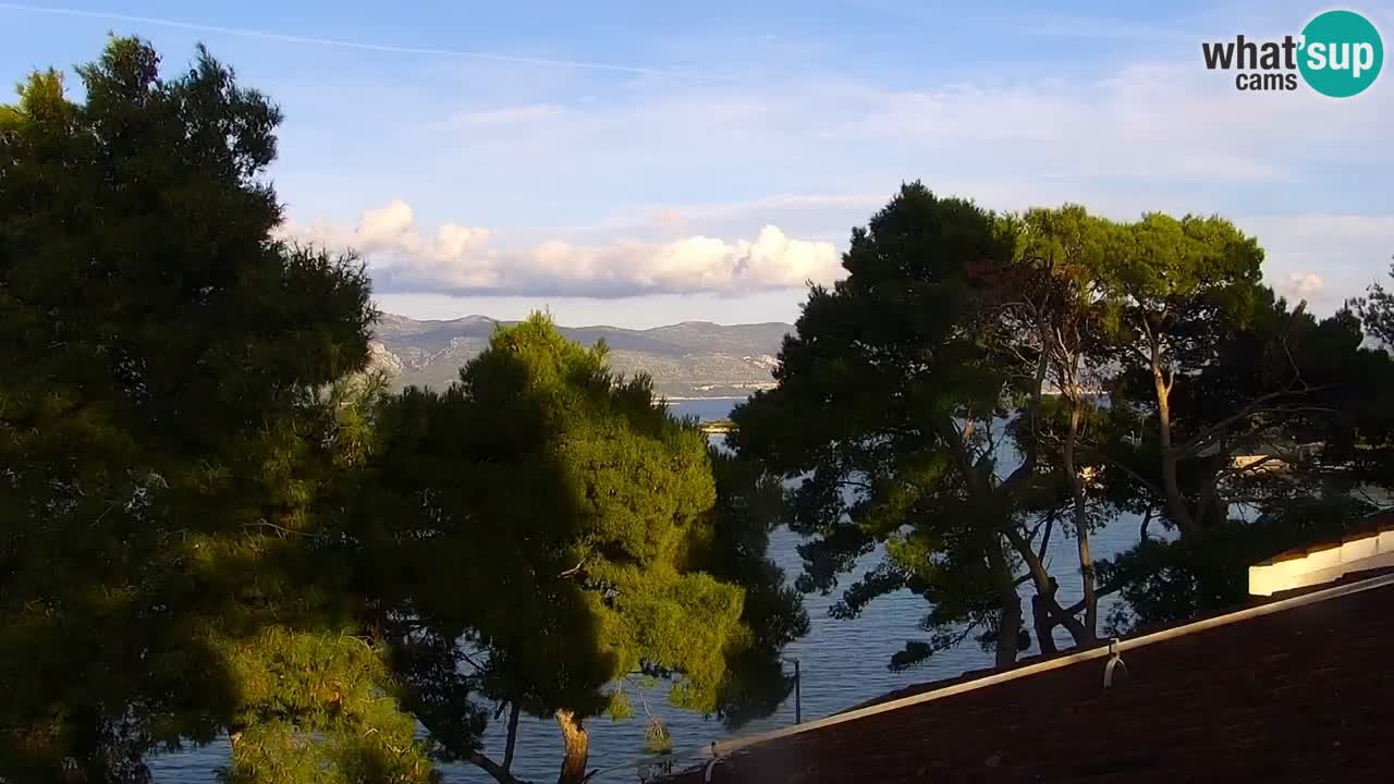 Lumbarda Resort camera en vivo Korčula