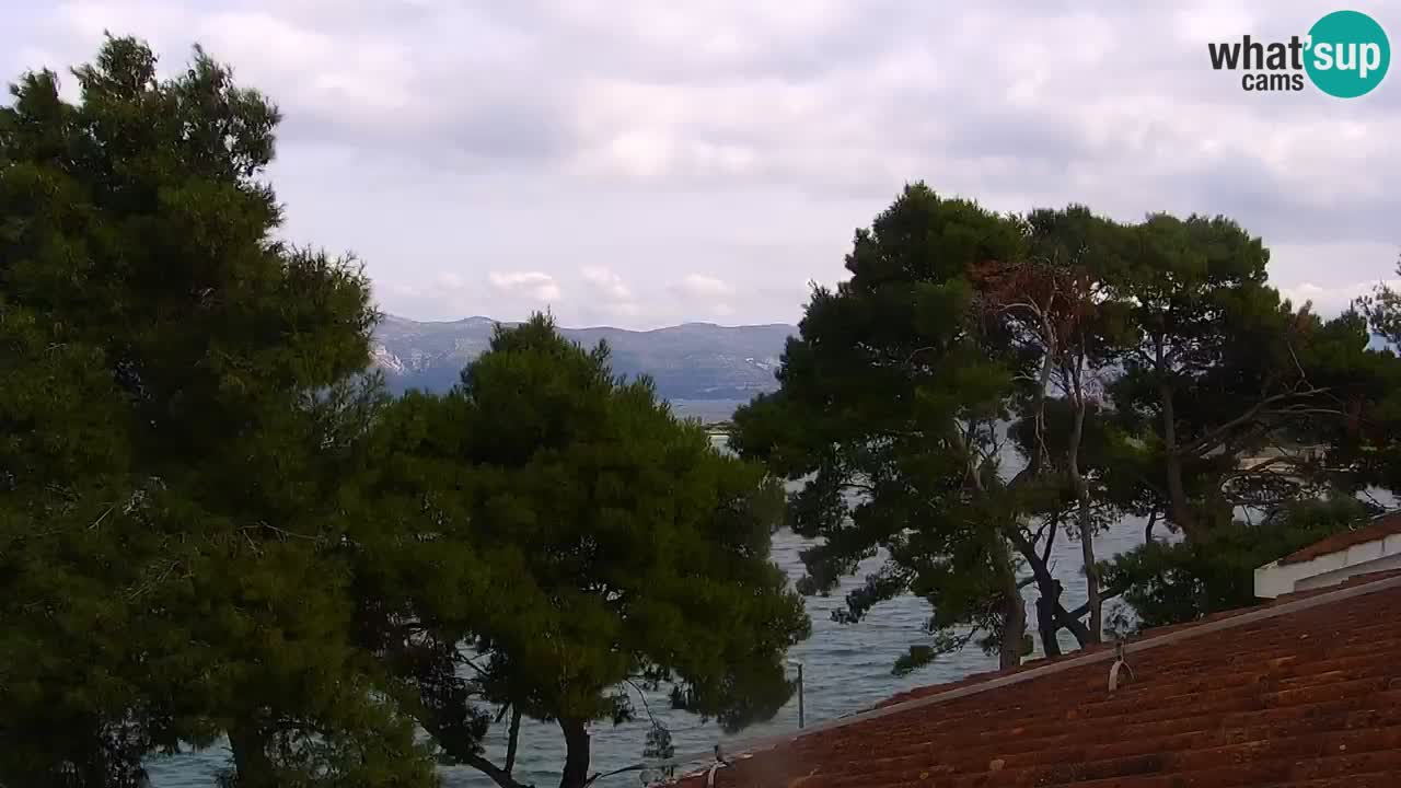 Lumbarda Resort camera en vivo Korčula