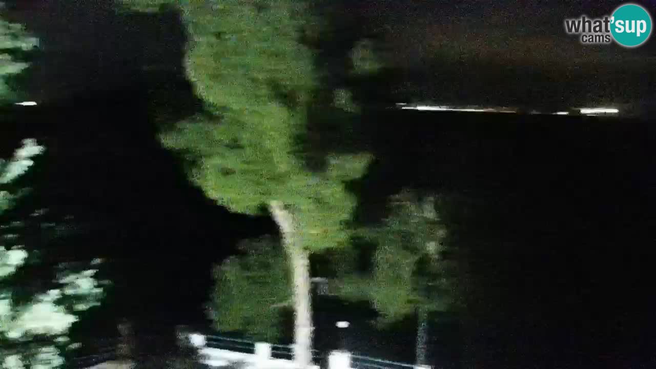 Lumbarda Resort webcam Kurzel