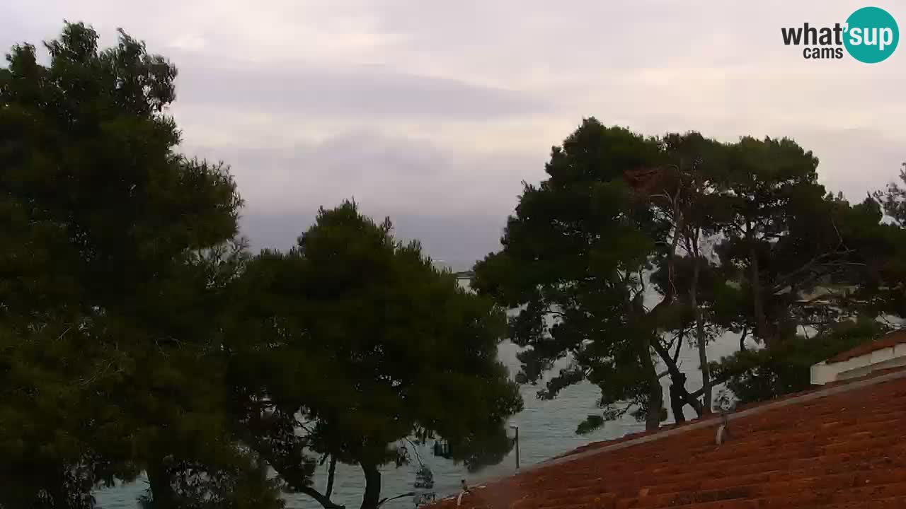 Lumbarda resort Spletna kamera Korčula