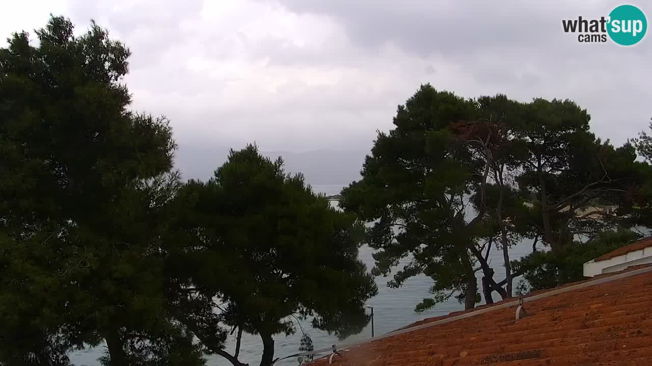 Lumbarda Resort webcam Kurzel