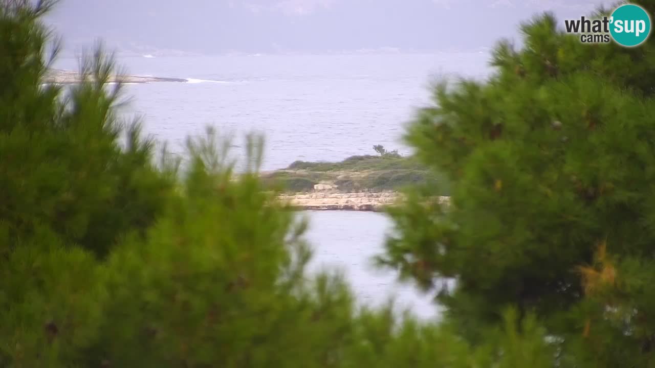 Lumbarda Resort live cam Curzola
