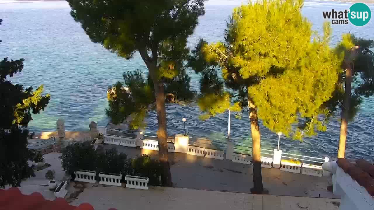 Lumbarda resort Webcam Korčula