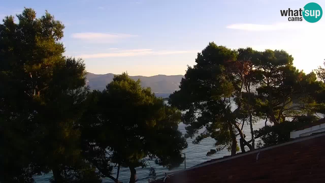 Lumbarda resort Webcam Korčula
