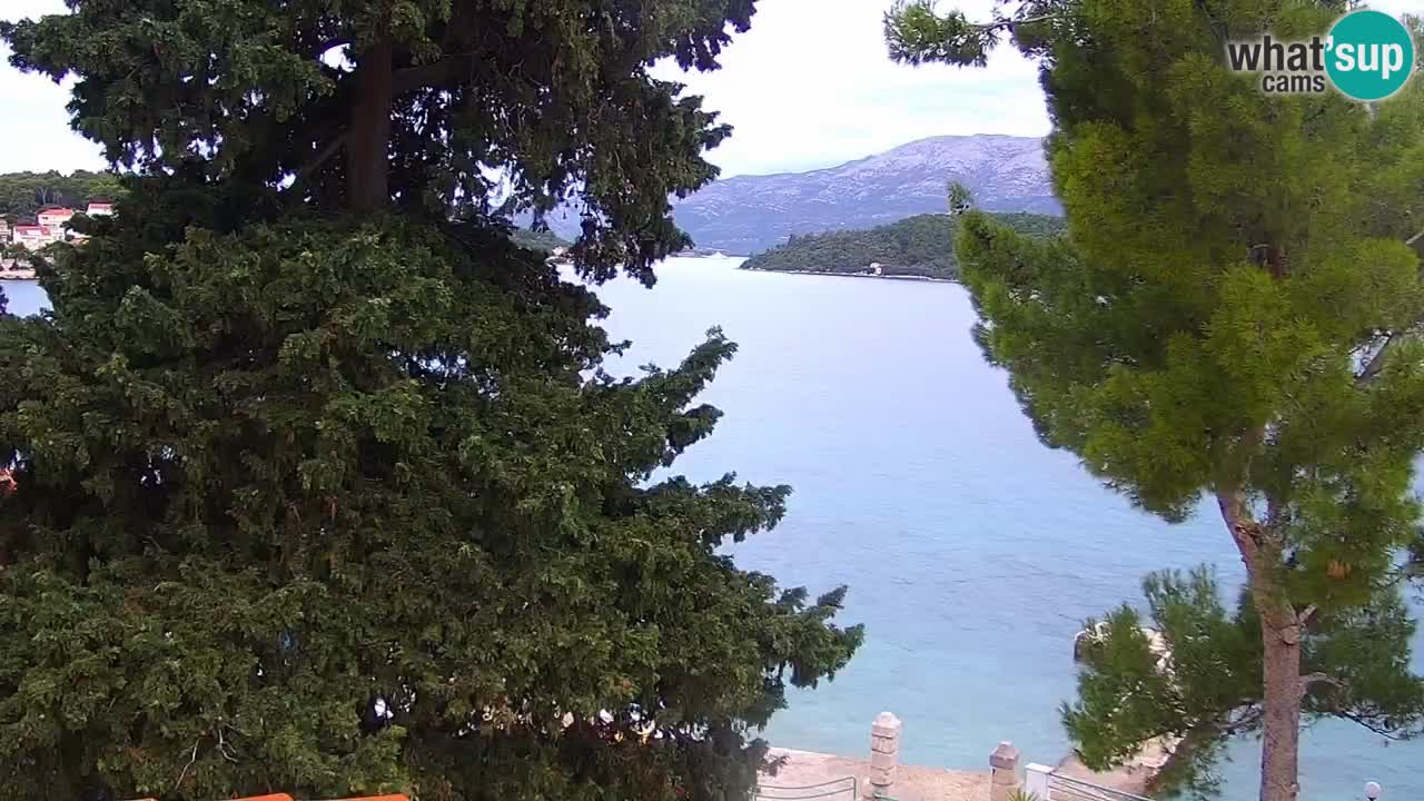 Lumbarda resort Spletna kamera Korčula