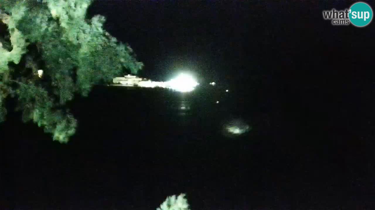 Lumbarda resort – livecam Korčula