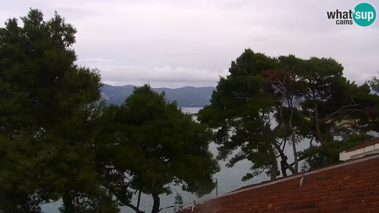 Lumbarda Resort live cam Curzola