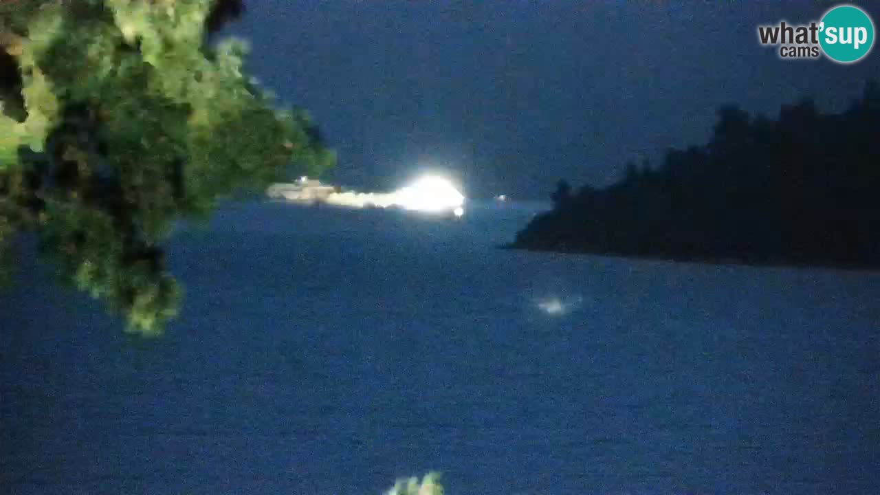 Lumbarda resort Web Kamera Korčula