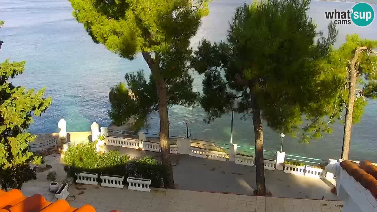Lumbarda Resort camera en vivo Korčula