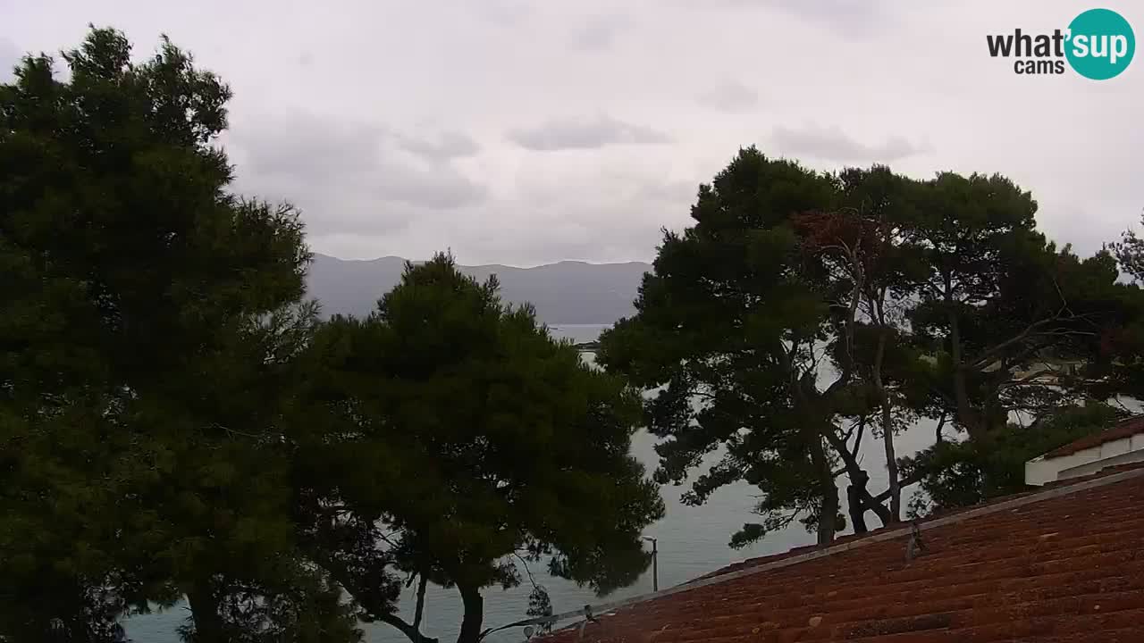 Lumbarda resort Web Kamera Korčula