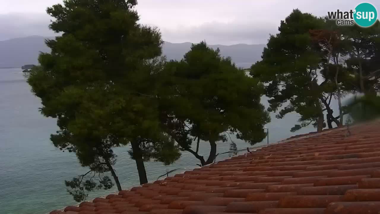 Lumbarda resort Webcam Korčula