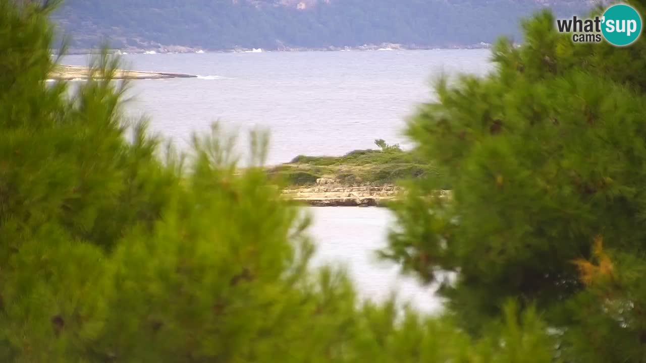Lumbarda resort – livecam Korčula