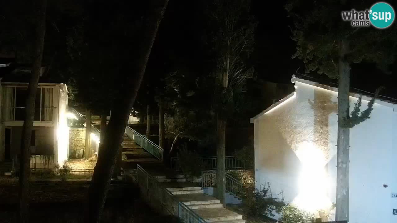 Lumbarda resort Webcam Korčula