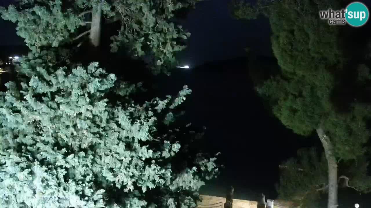 Lumbarda resort Webcam Korčula