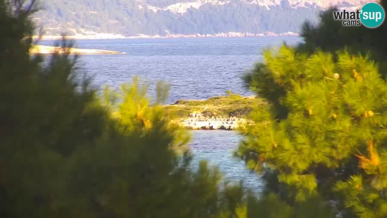 Lumbarda resort Webcam Korčula